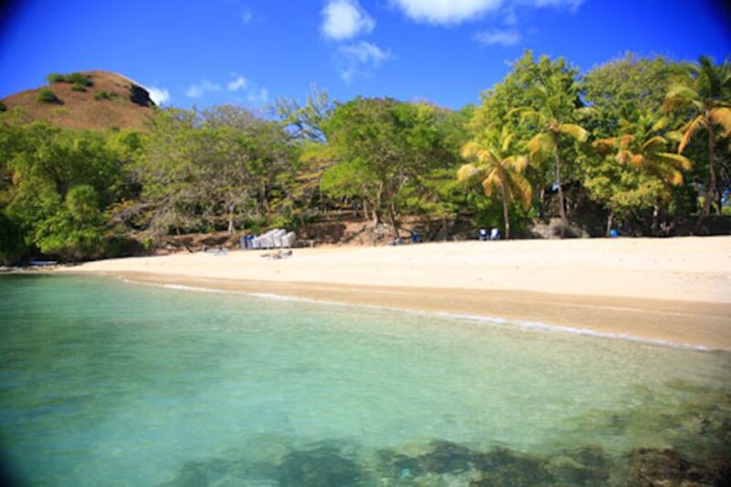 Saint Lucia Ultimate Chill Experience (+Lunch) - Customer Feedback
