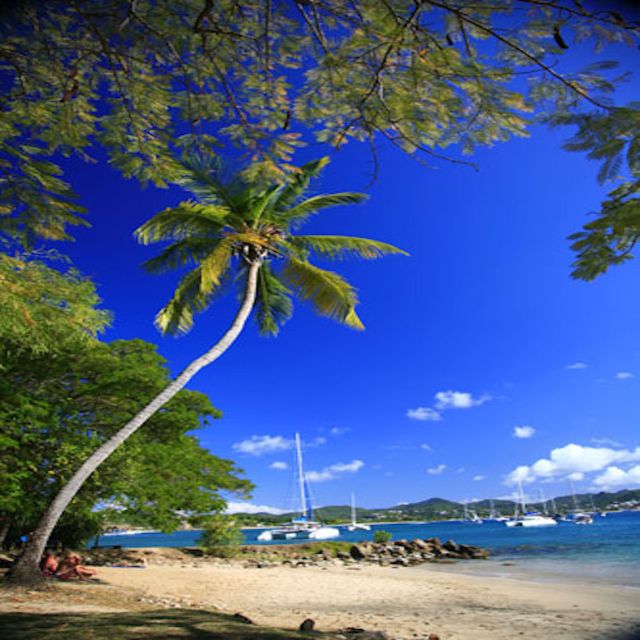 Saint Lucia Ultimate Chill Experience (+Lunch) - Frequently Asked Questions