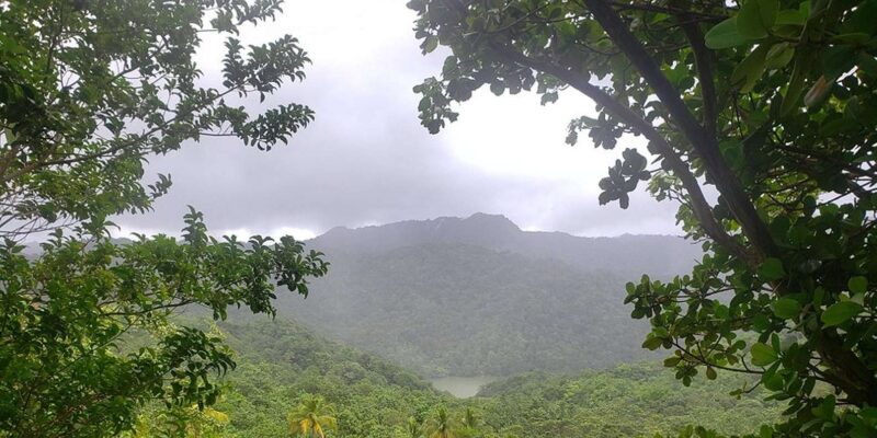 Saint Lucia W.I: Bird Watching and Nature Hike - Highlights and Focus