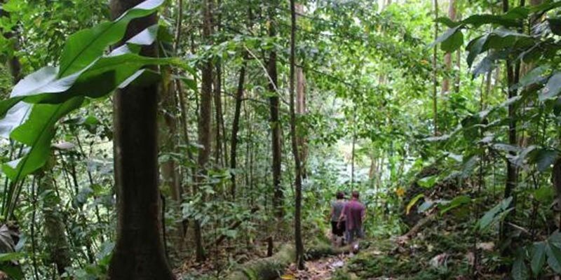 Saint Lucia W.I: Bird Watching and Nature Hike - Inclusions and Essentials