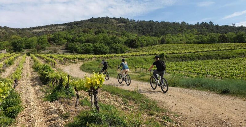 Saint-Martin-d'Ardèche: Electric Bike Wine Tour & Tasting - Highlights of the Tour