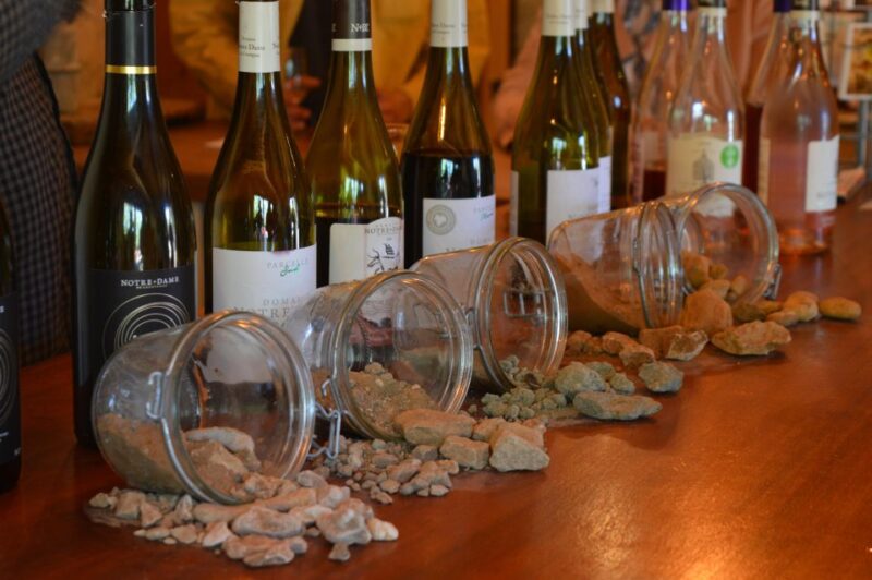 Saint-Martin-d'Ardèche: Electric Bike Wine Tour & Tasting - Age and Skill Requirements