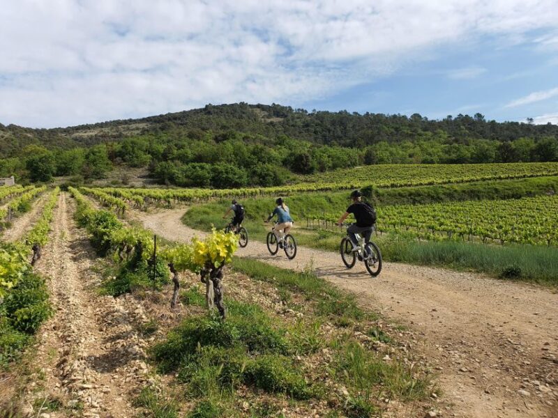 Saint-Martin-d'Ardèche: Electric Bike Wine Tour & Tasting - Cancellation and Booking