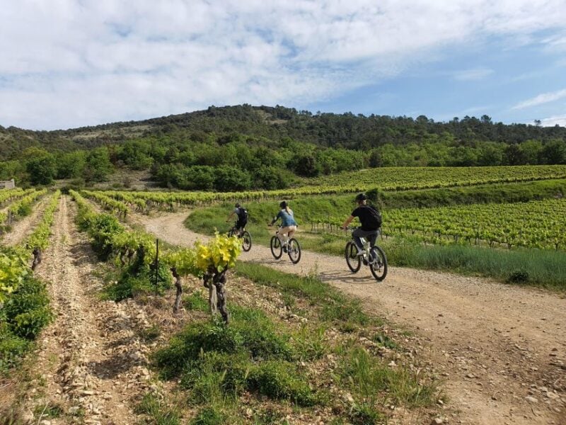 Saint-Martin-d'Ardèche: Electric Bike Wine Tour & Tasting - Responsible Consumption