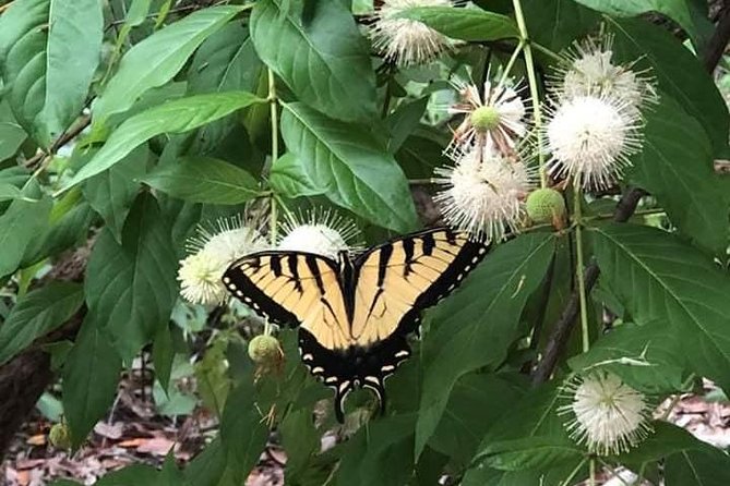Saint Petersburg Preserve Bike Tour - Meeting Details and Logistics
