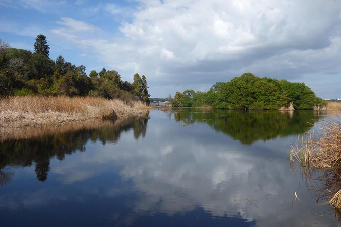 Saint Petersburg Preserve Bike Tour - Traveler Reviews and Booking