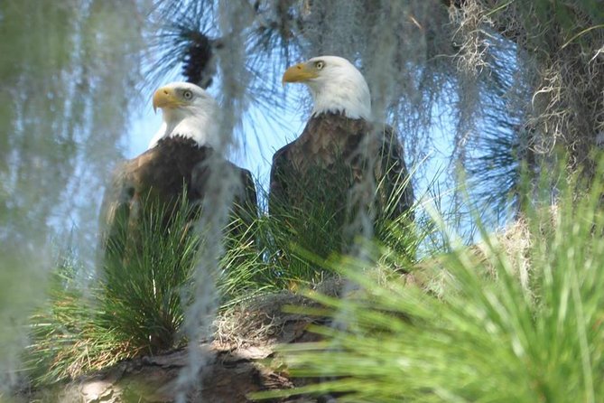 Saint Petersburg Preserve Bike Tour - Cancellation Policy