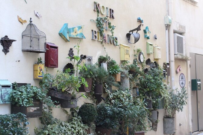 Saint Remy, Les Baux and Pont Du Gard Small Group Day Trip - Guide Qualifications