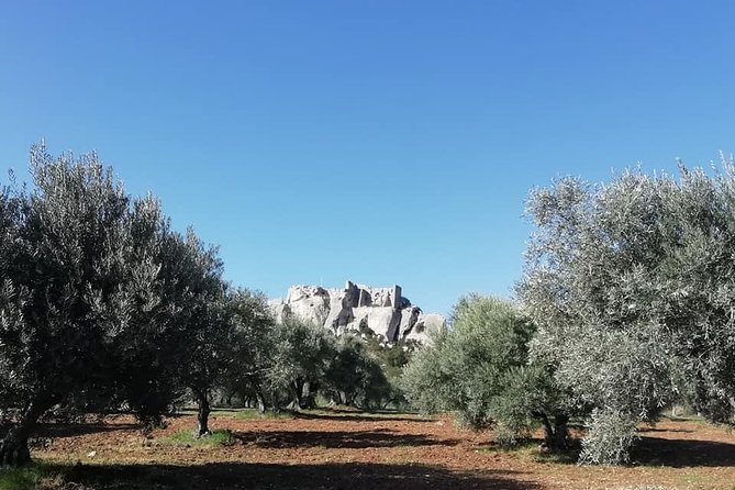 Saint Remy, Les Baux and Pont Du Gard Small Group Day Trip - Feedback From Travelers