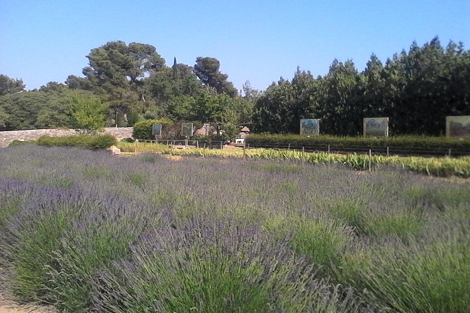 Saint Remy of Provence & Les Baux De Provence Minivan Tour - Transportation and Pickup Options