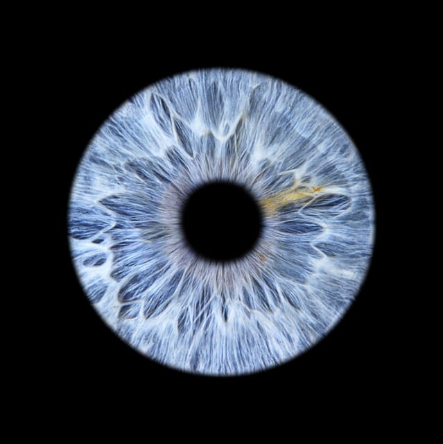 Saint-Tropez: Make Your Eyes a Unique Work of Art - Key Points