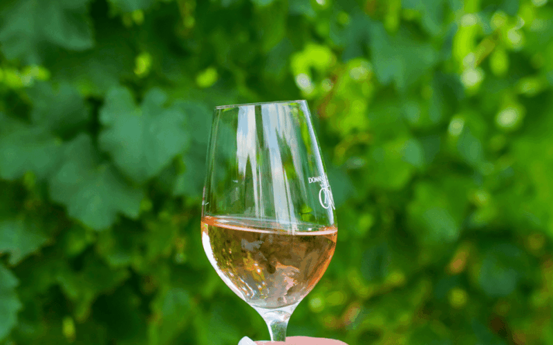 Saint-Tropez: Small Group Wine Tour - Itinerary Details