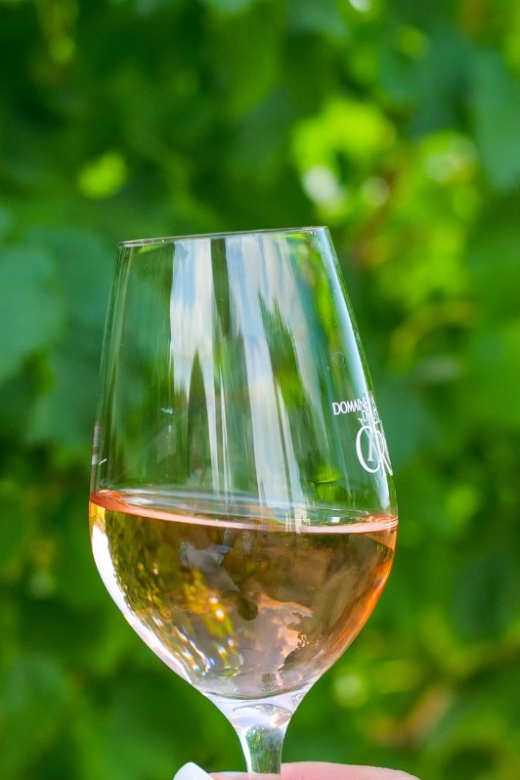 Saint-Tropez: Small Group Wine Tour - Wineries and Region