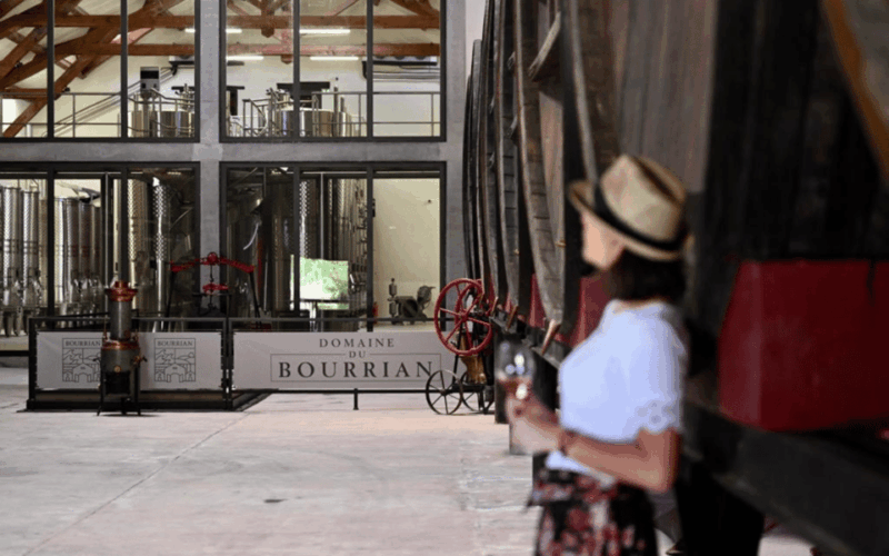 Saint-Tropez: Small Group Wine Tour - Participant Information