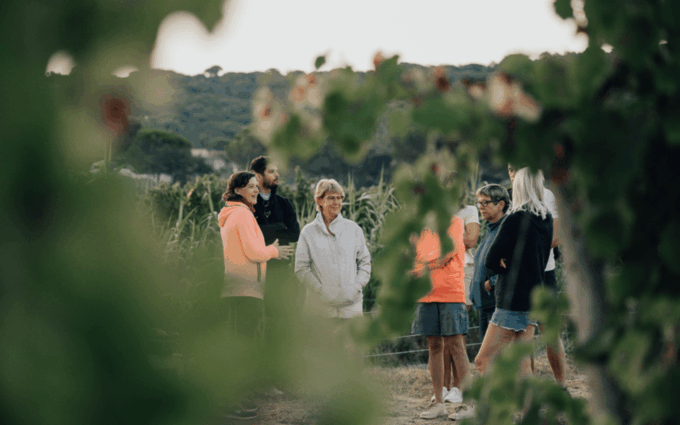 Saint-Tropez: Small Group Wine Tour - Frequently Asked Questions