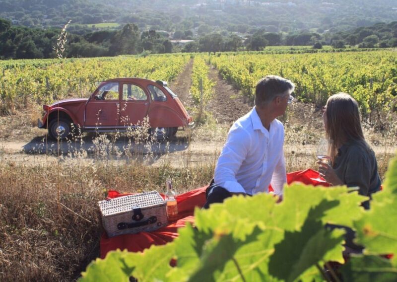 Saint-Tropez: Vintage Car Wine Tour - Key Points