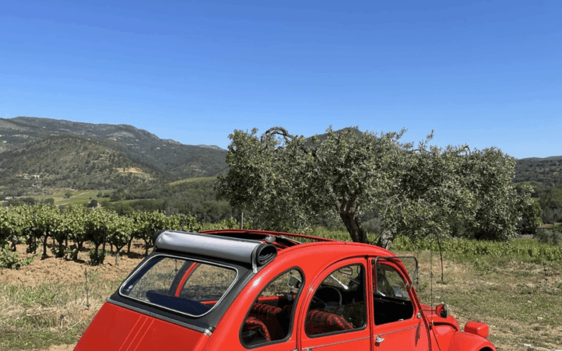 Saint-Tropez: Vintage Car Wine Tour - Restrictions and Policies