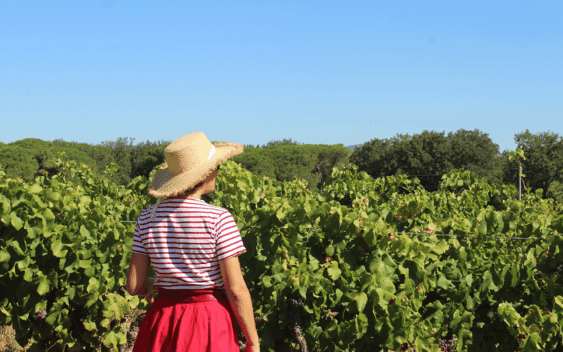 Saint-Tropez: Vintage Car Wine Tour - What to Expect
