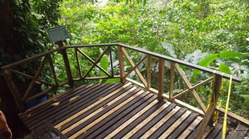 Saint Vincent: Caribbean Odyssey Tour - Itinerary Highlights