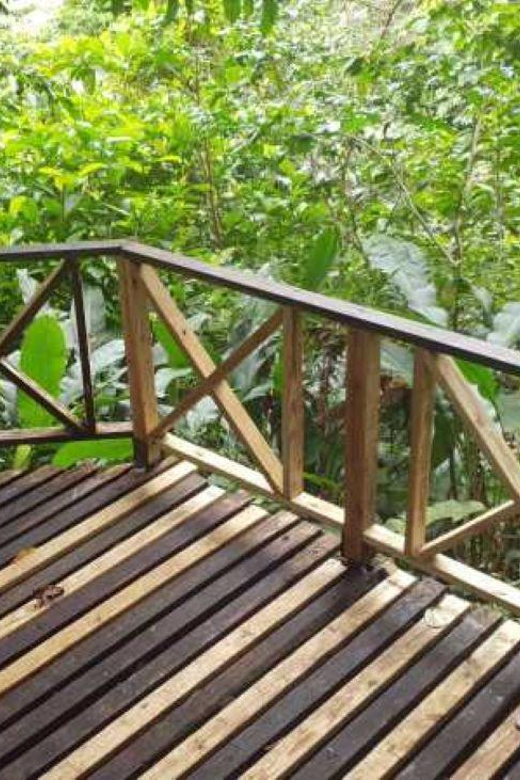 Saint Vincent: Caribbean Odyssey Tour - Experience Description
