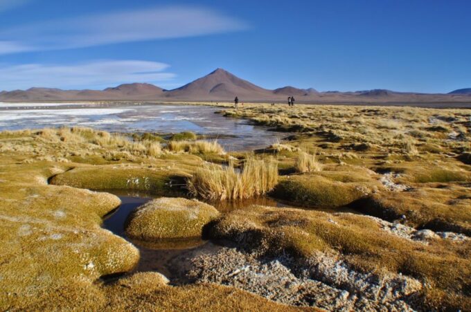 Sajama National Park From La Paz - Pricing and Duration