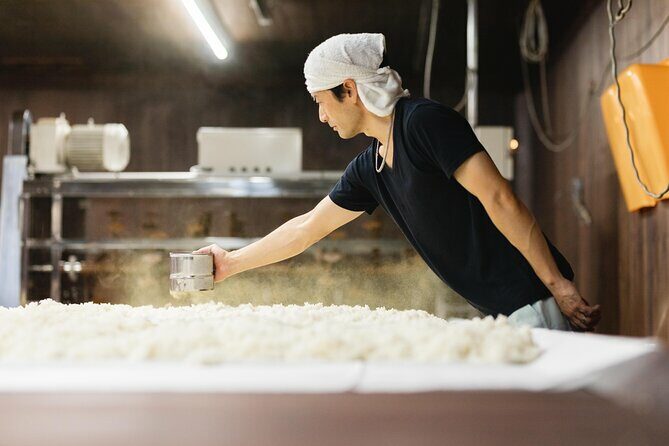 Sake Heritage Nagoya Brewers Insights and Tastings tour - Key Points