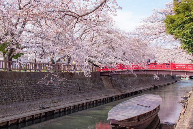 Sakura 1 Day Tour With Charter Train and Boat From Nagoya - Important Information