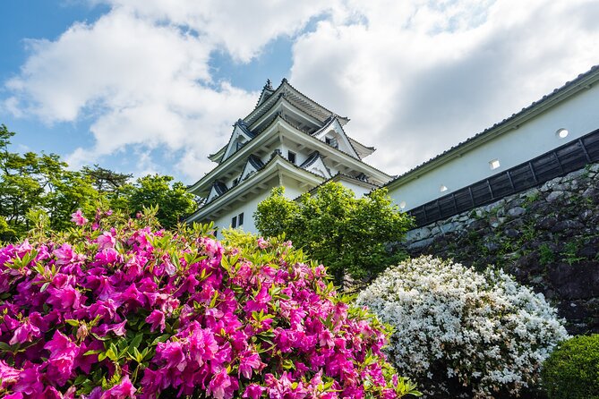Sakura 1 Day Tour With Charter Train and Boat From Nagoya - Highlights of the Tour