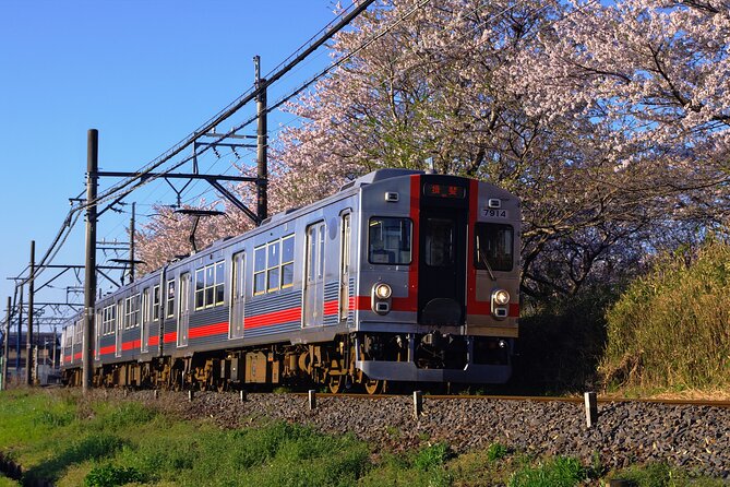 Sakura 1 Day Tour With Charter Train and Boat From Nagoya - Itinerary