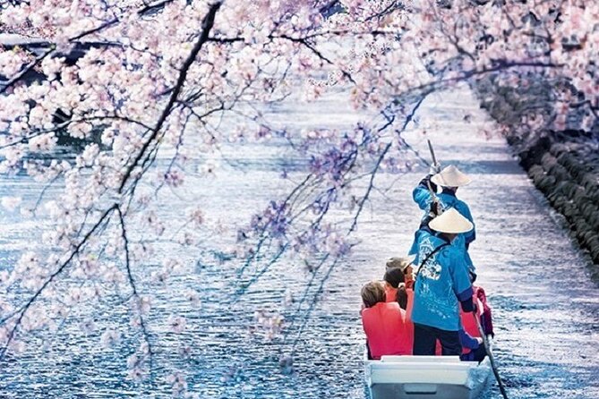 Sakura 1 Day Tour With Charter Train and Boat From Nagoya - What to Expect