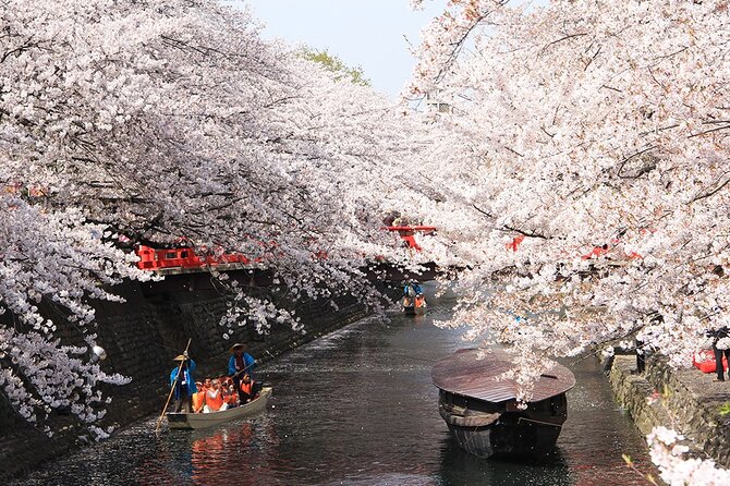 Sakura Magic and Nabana No Sato Day Tour From Osaka - Key Points
