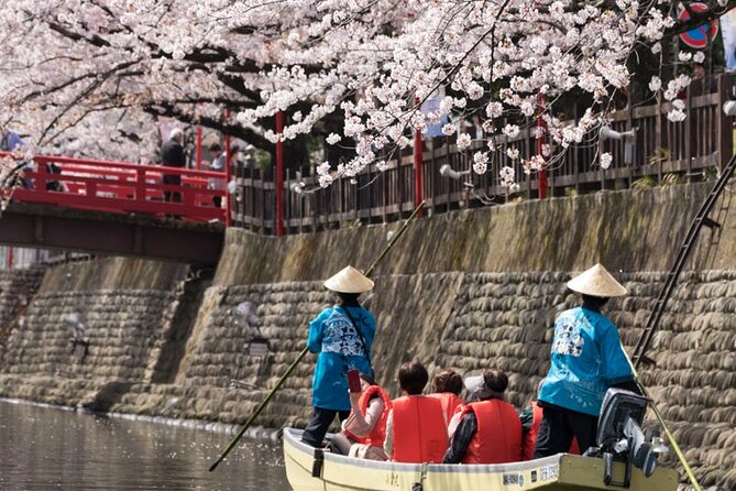 Sakura Magic and Nabana No Sato Day Tour From Osaka - Inclusions