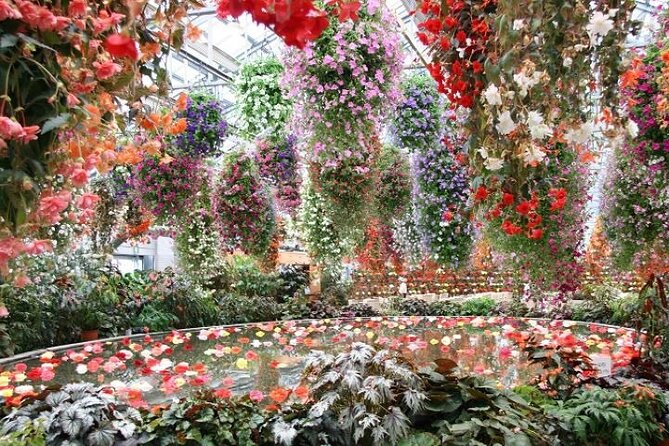 Sakura Magic and Nabana No Sato Day Tour From Osaka - Booking Information