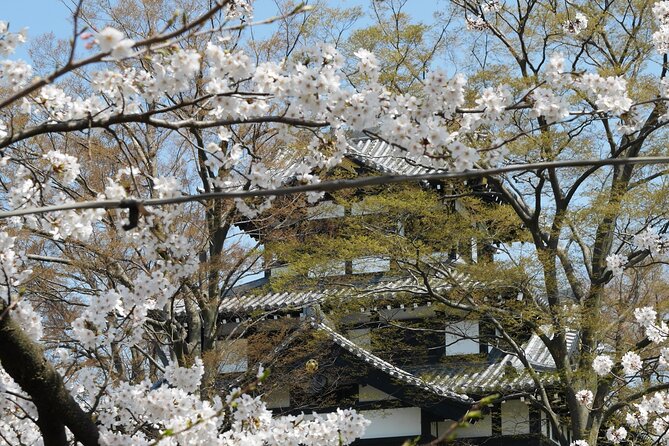 Sakura Park and Old Town Private Tour - Tour Schedule
