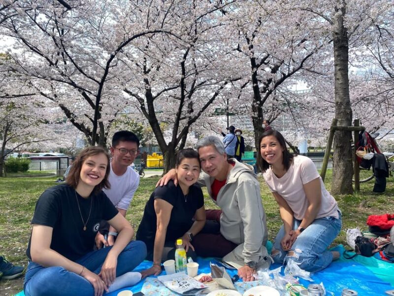 Sakura Picnic Hanami in Osaka - Spring Only - Key Points
