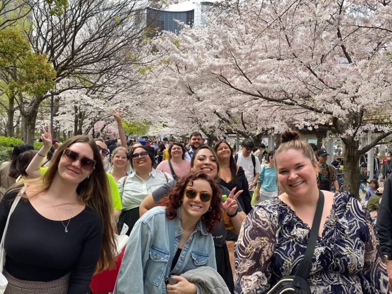 Sakura Picnic Hanami in Osaka - Spring Only - Itinerary Highlights