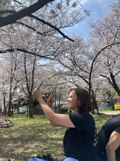 Sakura Picnic Hanami in Osaka - Spring Only - Cherry Blossom Bloom Timeline