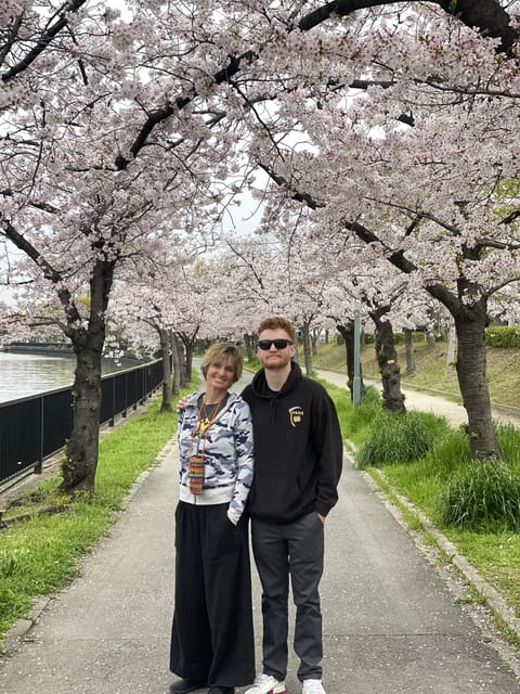 Sakura Picnic Hanami in Osaka - Spring Only - Group Size and Pricing