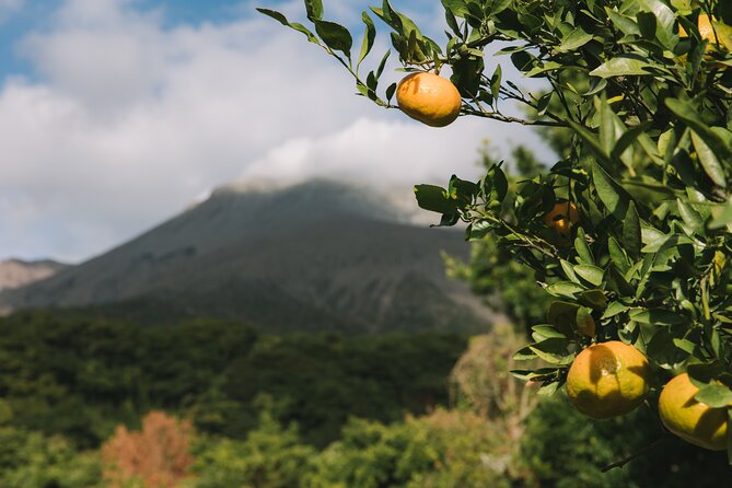 Sakurajima Blessings of the Earth Ride - Exploring Sakurajimas Volcanic Wonders