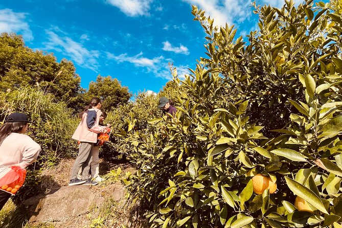 Sakurajima Blessings of the Earth Ride - Spotting Native Wildlife