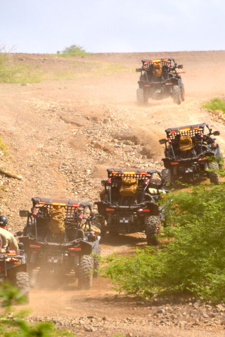 Sal: Half-Day SSV Buggy (500cc or 1000cc) Island Adventure - Exploring Sal Island