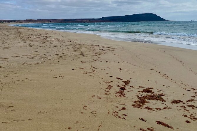 Sal Island in a Group - A Full Day Exploring the Highlights - Reviews and Ratings