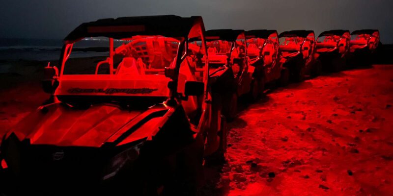 Sal Island: Night Buggy With Turtle Watching Experience - Inclusions and Logistics