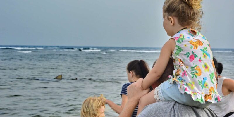 Sal Island: Private Tour to Shark Watching and Salt Lake - Key Points