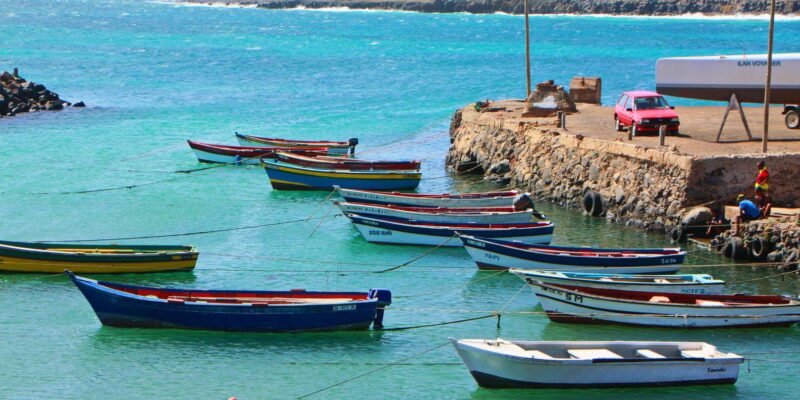 Sal Island: Private Tour to Shark Watching and Salt Lake - Safety and Guidelines