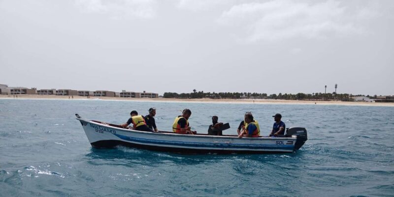 Sal Island: Santa Maria Snorkelling - Snorkeling Highlights