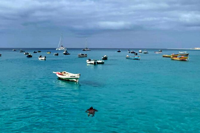 Sal Island: Secrets of Native Guide All-Inclusive Tour With Lunch - Lunch and Cuisine
