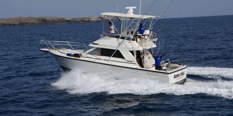 Sal: Sportfishing Half Day 4 Hours - Customer Feedback