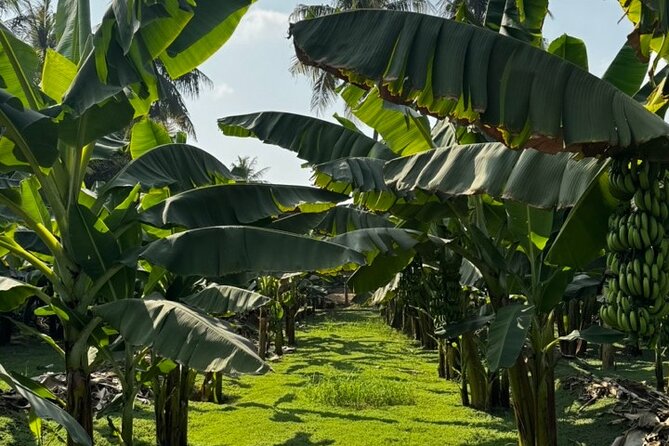 Salalah City Tour: Discover Salalahs Treasures With a Local Guide - Booking and Cancellation Policy