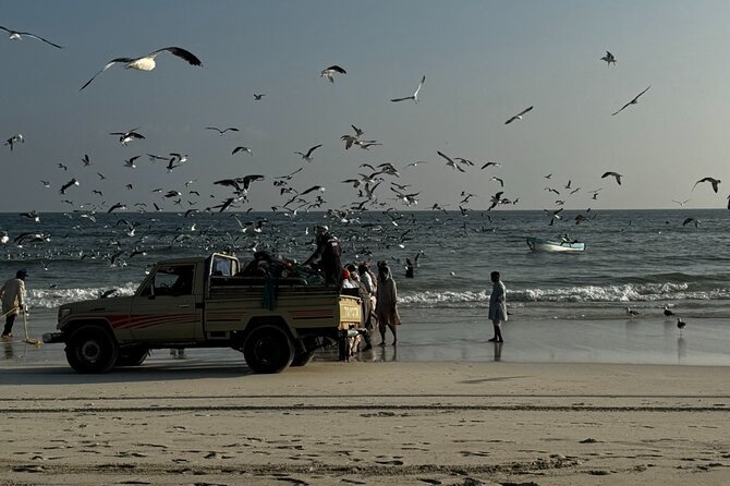 Salalah City Tour: Discover Salalahs Treasures With a Local Guide - Reviews